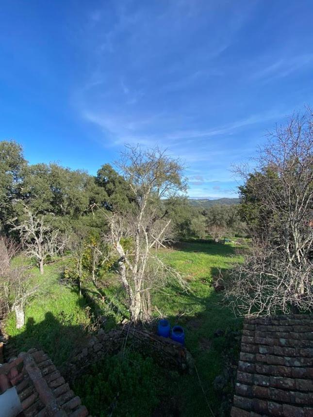Espaciosa Y Elegante Casa Rural En Los Marines מראה חיצוני תמונה
